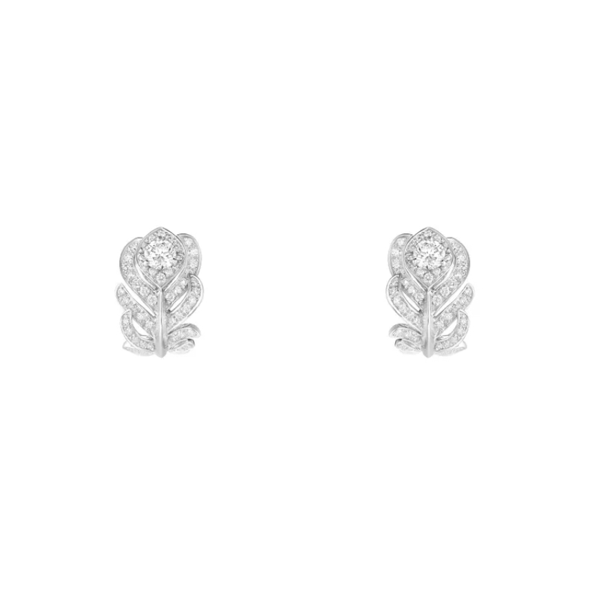 bc500182_JCO01581_1.jpg