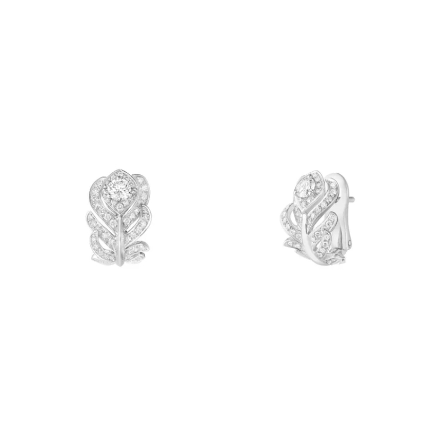 bc500182_JCO01581_2.jpg
