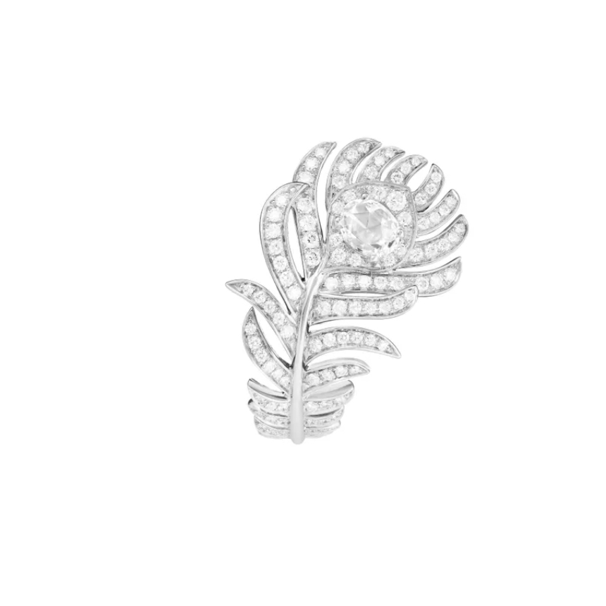 bc500278_JRG02810_2.jpg