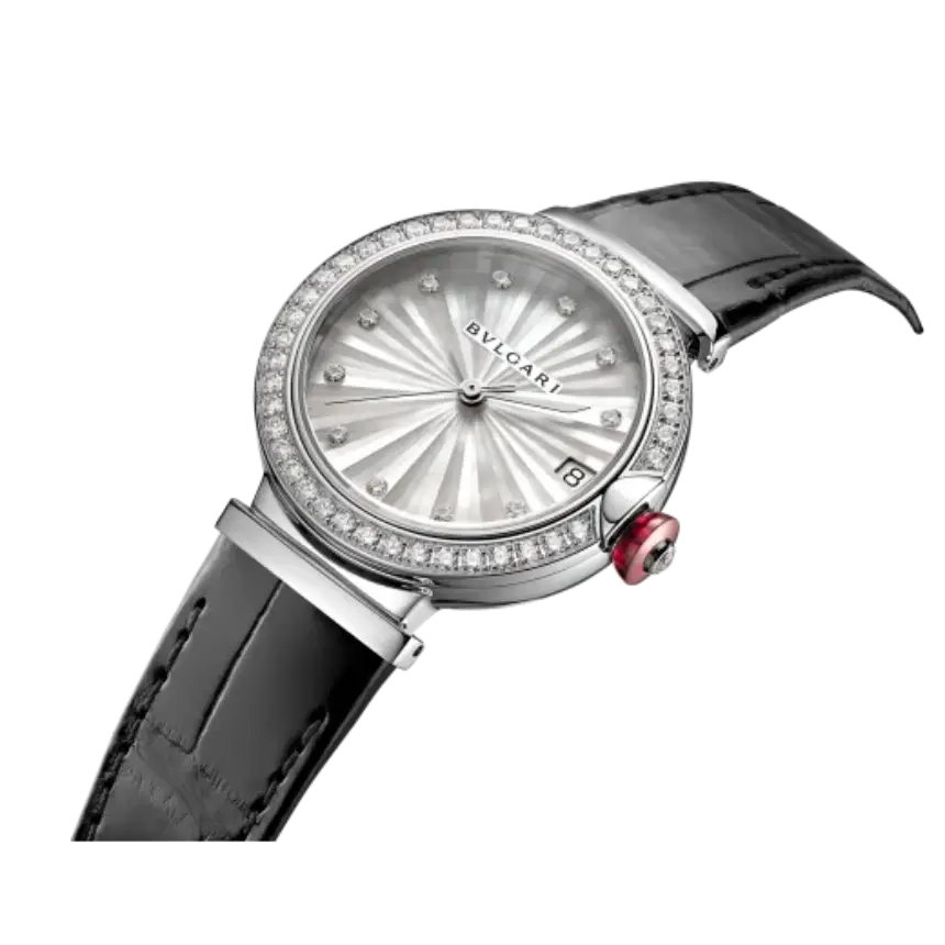 bg30029_lvcea-watch_s2.jpg