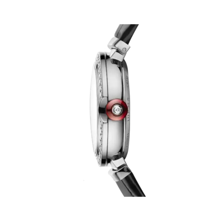 bg30029_lvcea-watch_s3.jpg