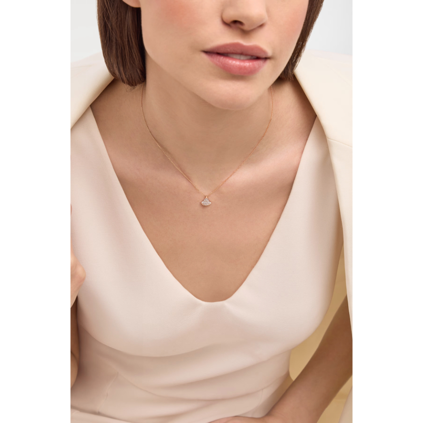 bg500296_361446_4.jpg