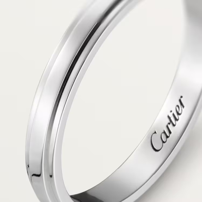 ct500022_B4093900_3.jpg
