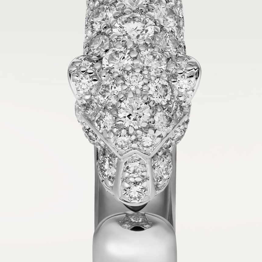 ct500150_N4765900_4.jpg