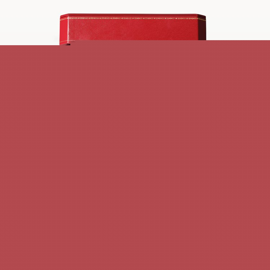 ct500321_N7413500_5.jpg