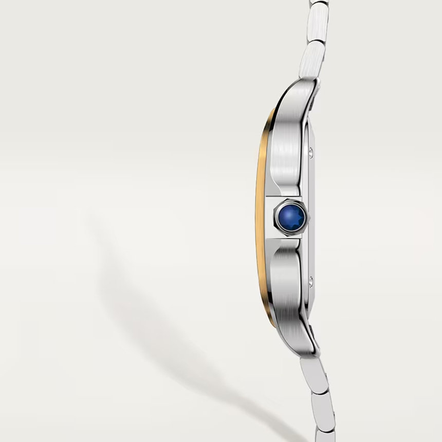 ct600063_W2SA0016_4.jpg