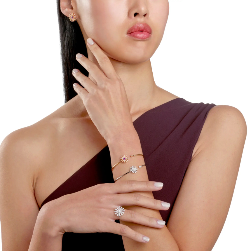 dm500194_20072753_c_5.jpg