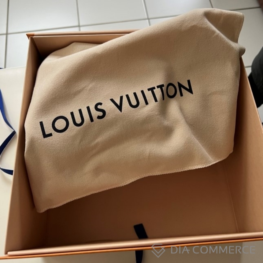 lv00883_speedy-bandouliere-20-bag_M46222_s6.jpg