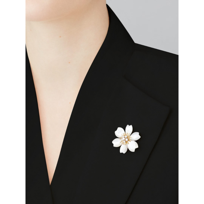 va500063_VCARD30300_4.jpg